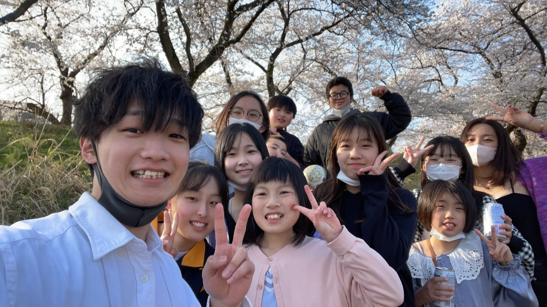 生徒とみんなで桜を見に行きました！KOGE塾